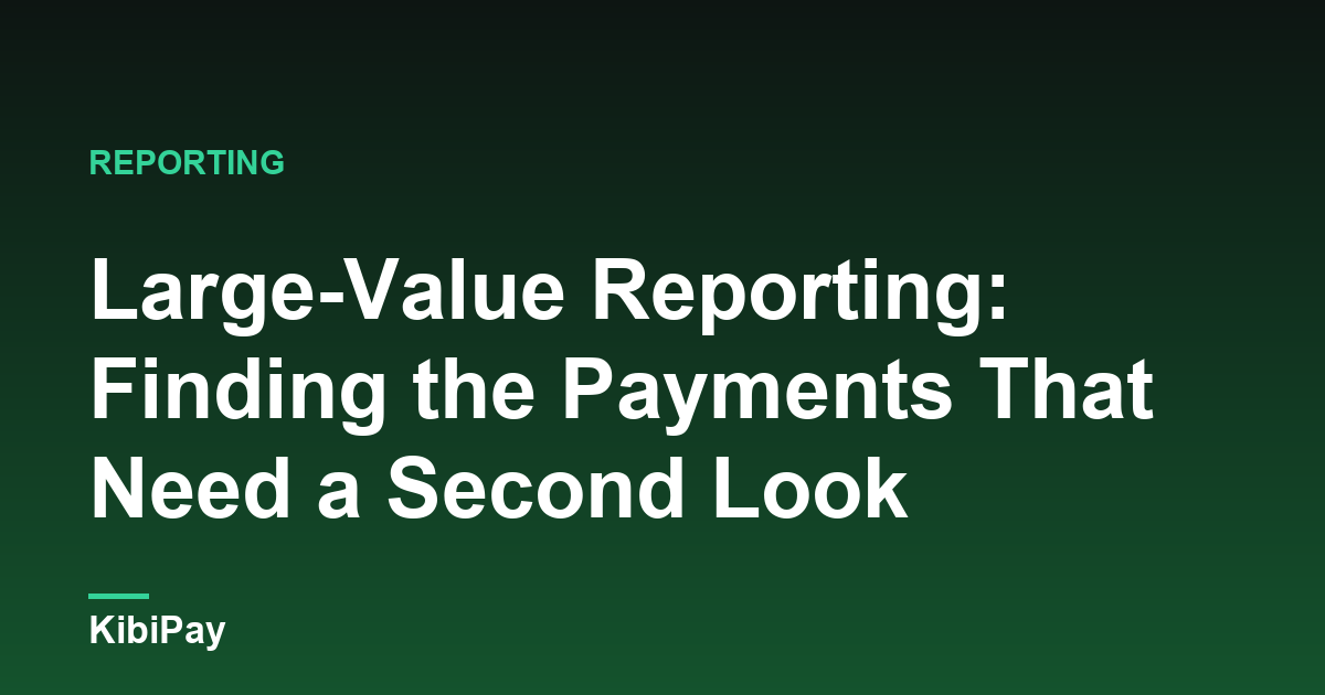 Large-Value Reporting: Finding the Payments That Need a Second Look